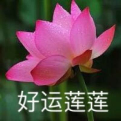 “原创之殇——维权仅止于道德谴责?”主题研讨会在京举办